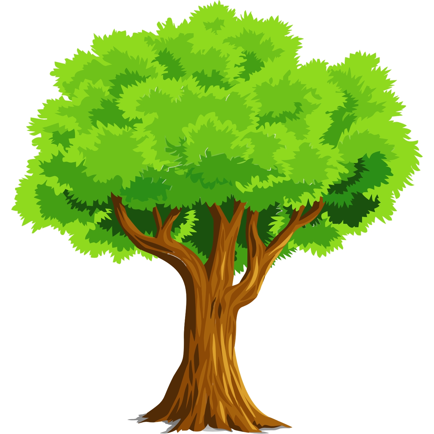 HG – Dienstleistungen